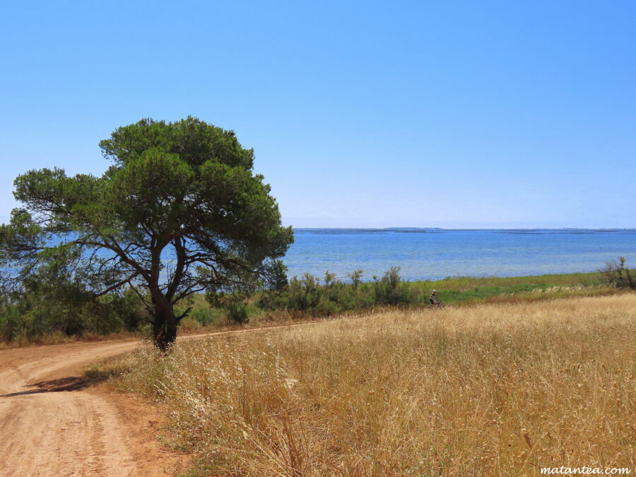 Bouzigues à vélo