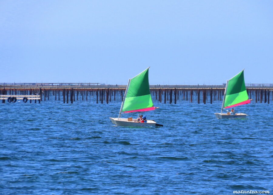 Bouzigues voile