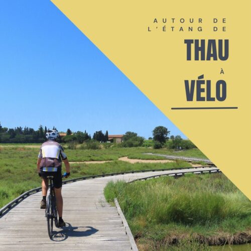 L'étang de Thau à vélo