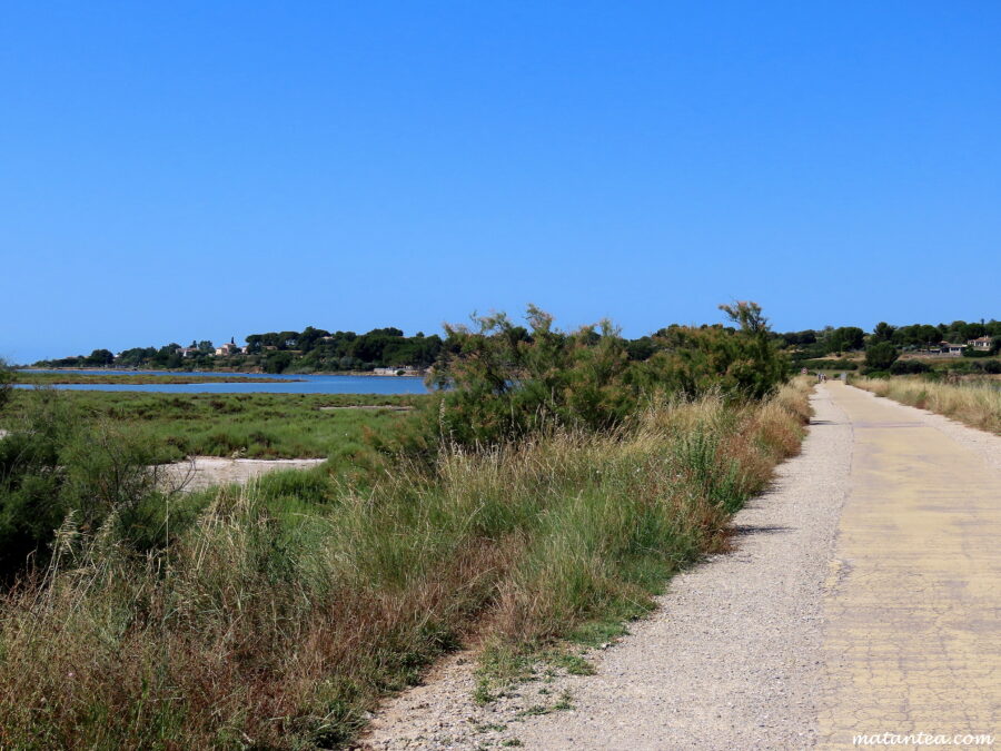 L'étang de Thau à vélo