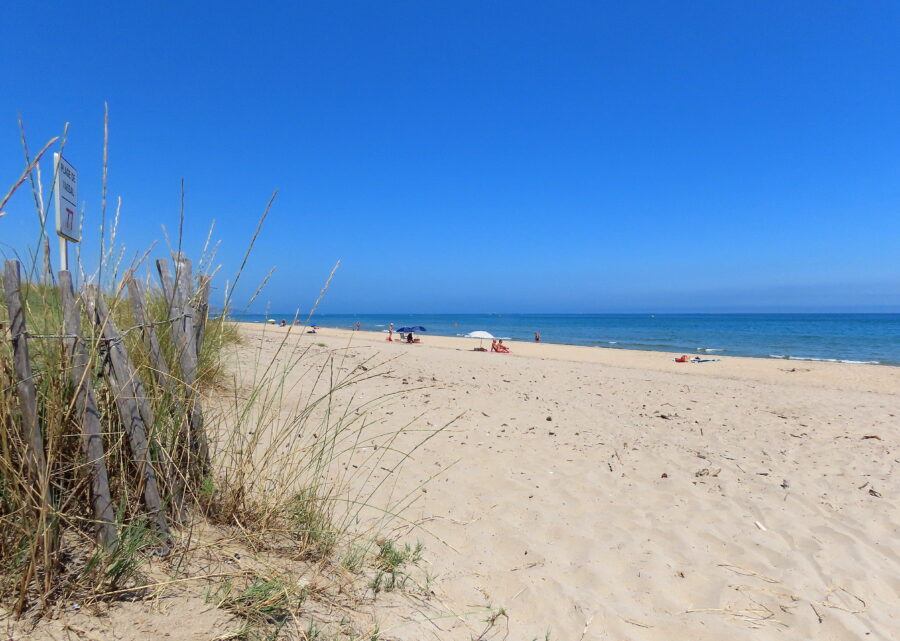 Marseillan plage