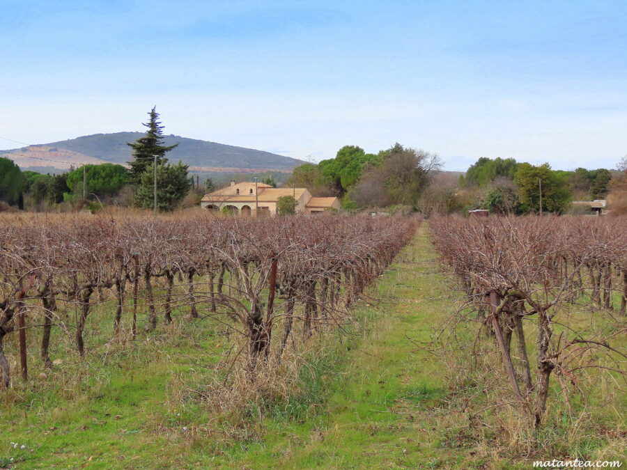 Villeneuve-lès-Maguelone à vélo