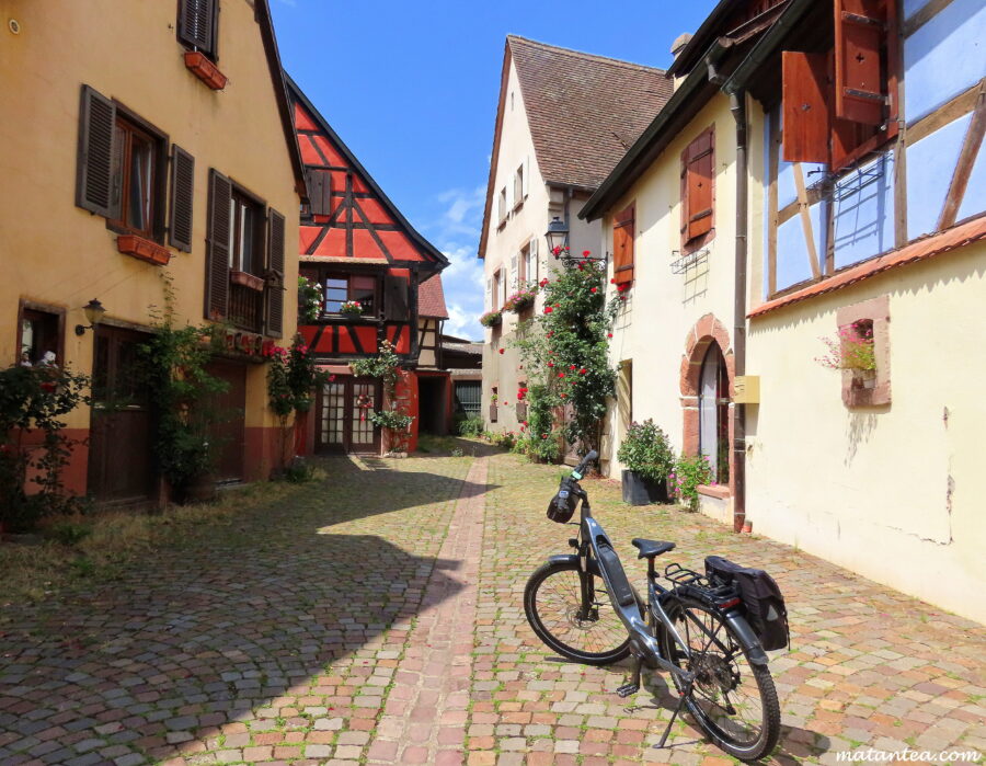 La route des vins d'Alsace à vélo électrique.