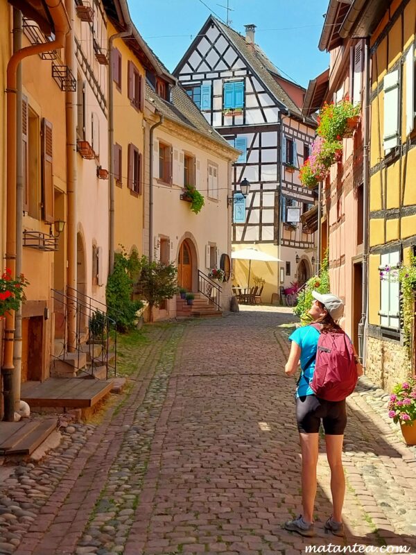 Eguisheim sur la route des vins d'Alsace à vélo