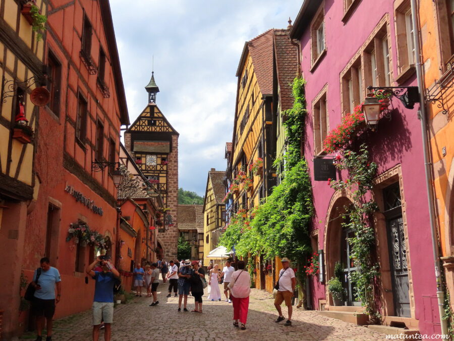Riquewihr sur la route des vins d'Alsace à vélo