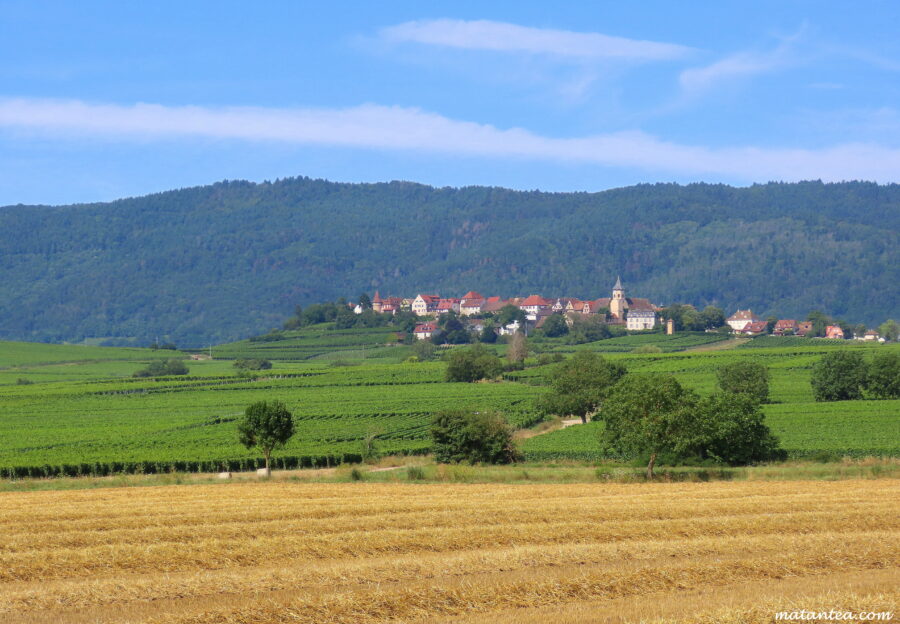 Paysage en Alsace
