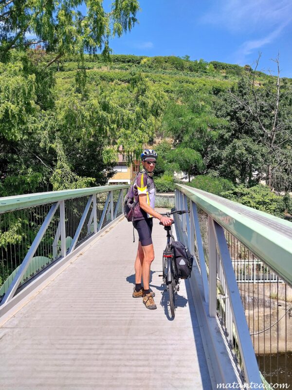 Location de vélo en Alsace