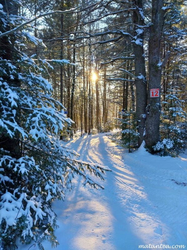 Ski de fond aux Sentiers Brandon à St-Gabriel-de-Brandon