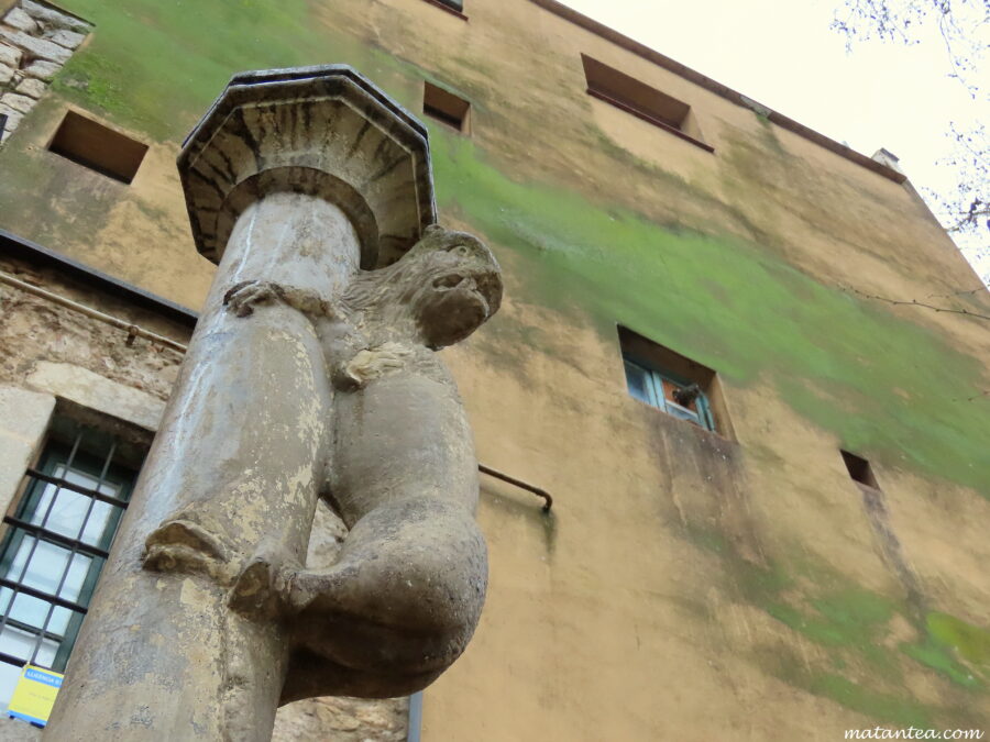 Le cul de la lionne de Gérone