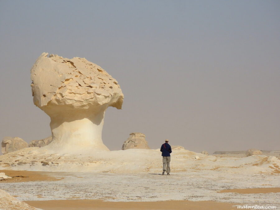 Désert blanc en Égypte