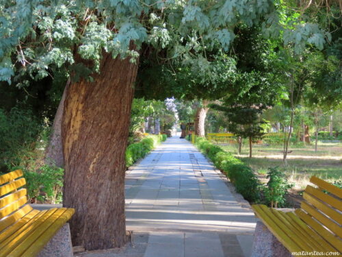 Jardin botanique d'Assouan