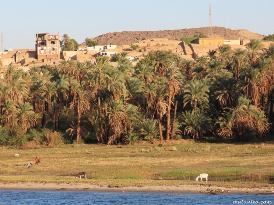 Paysage le long du Nil