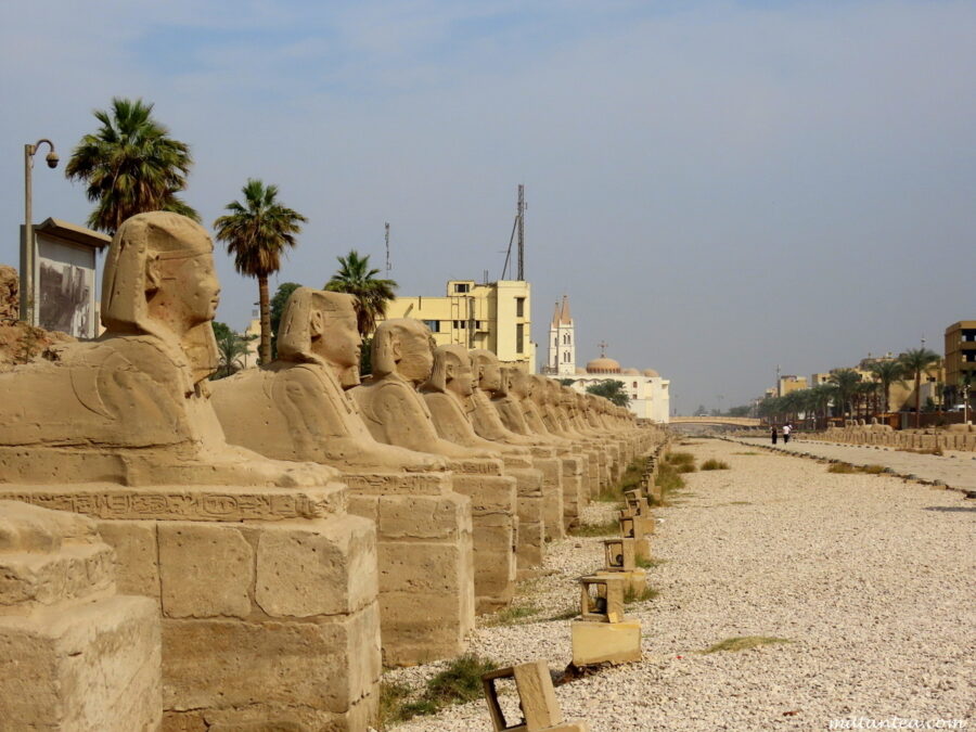 Allée des Sphinx à Louxor
