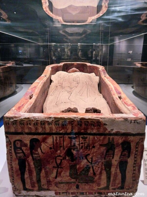 Musée de la momification à Louxor